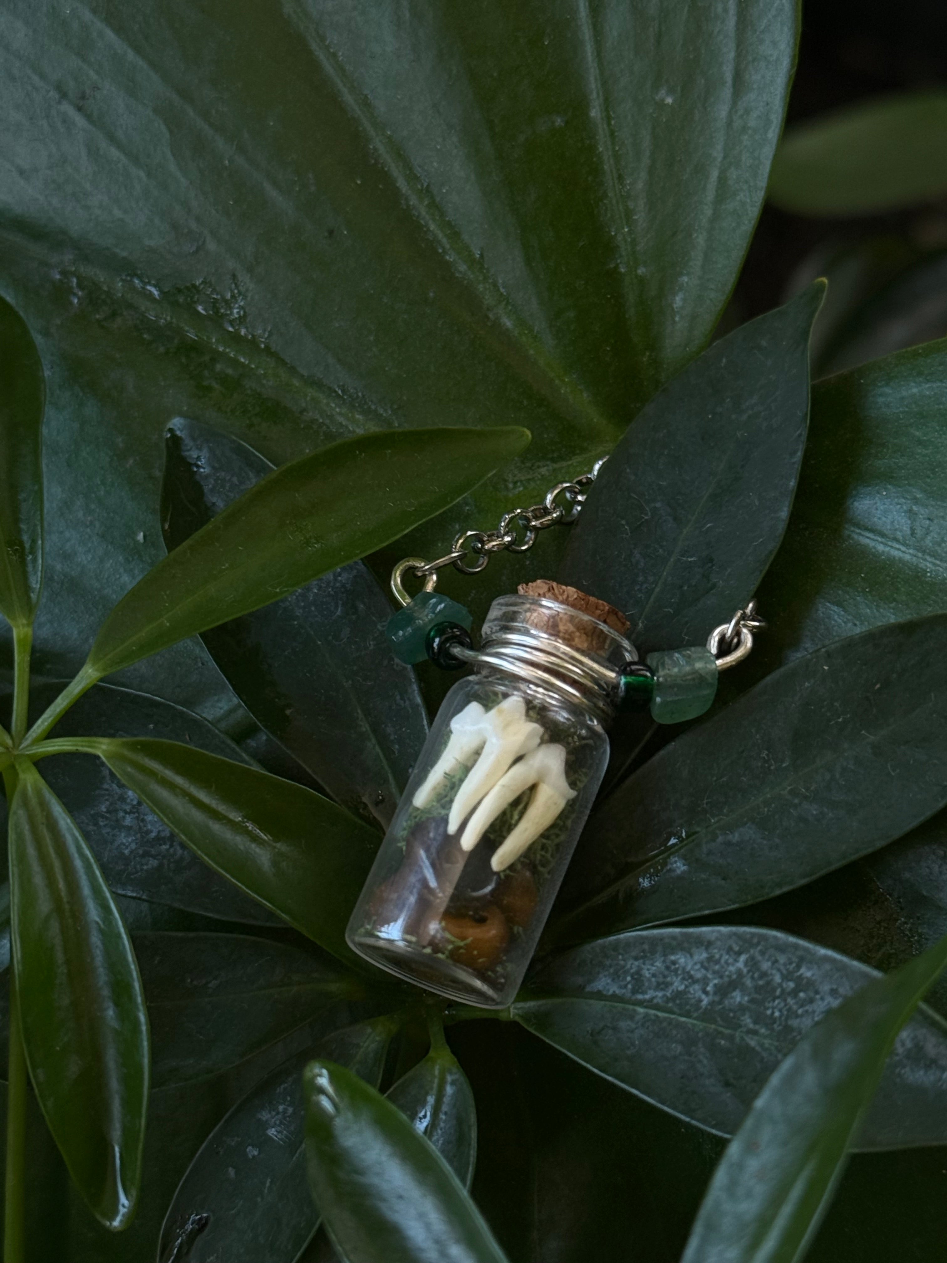 Teeth, Crystal, and Moss Vial Necklae