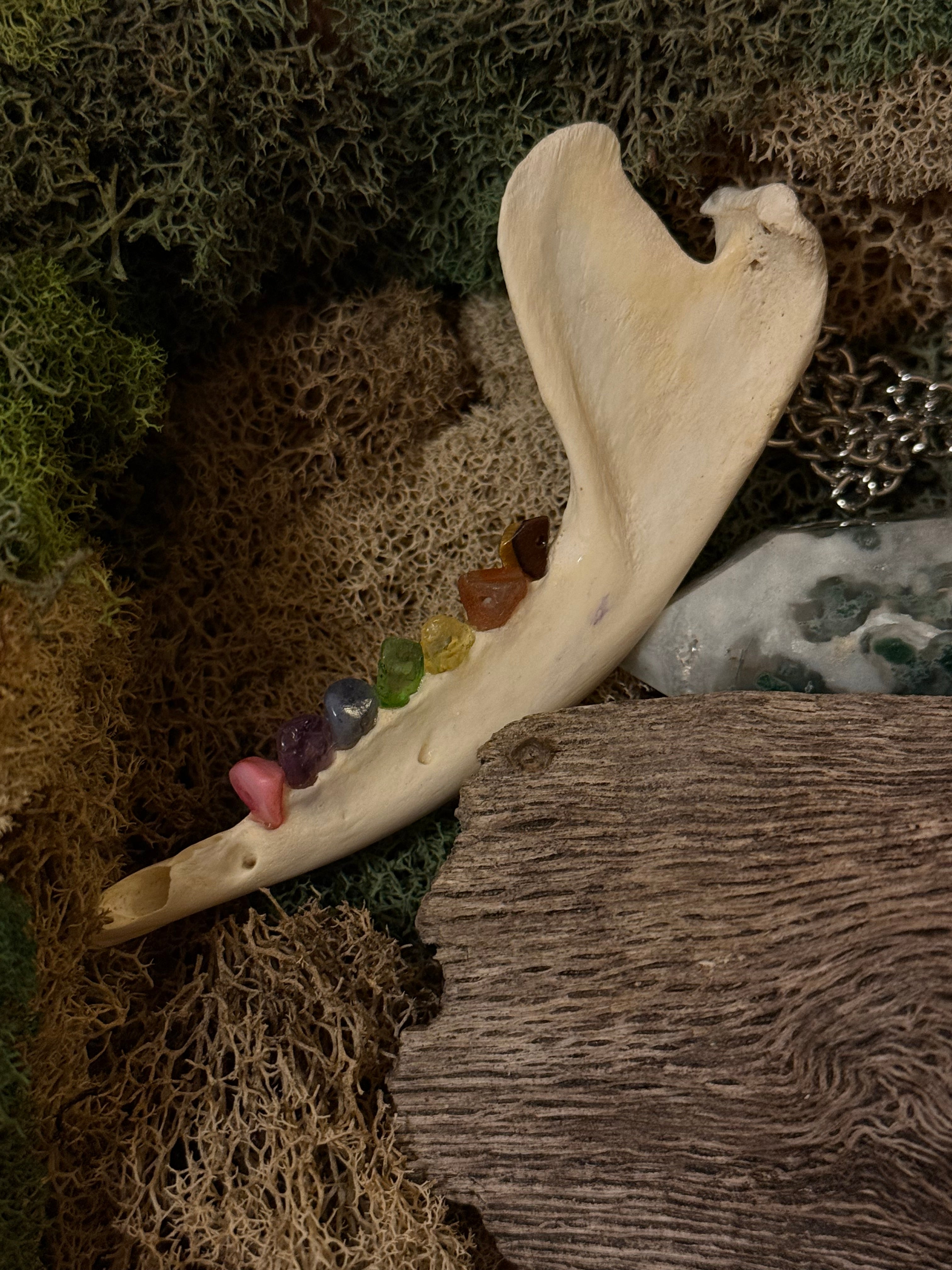 Rainbow Crystal Jaw Necklace
